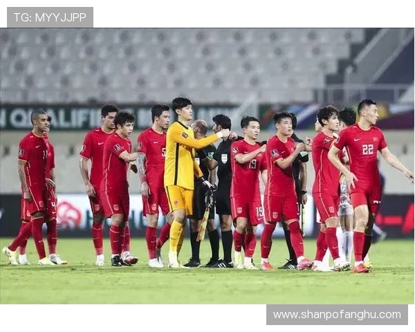 中国男足球星薪水排名揭晓 谁是顶薪球员引关注