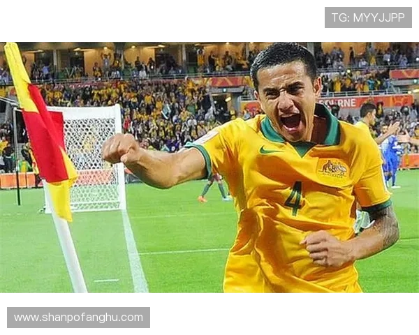 南美洲帅气足球球星盘点：从巴西到阿根廷的球场魅力与风采